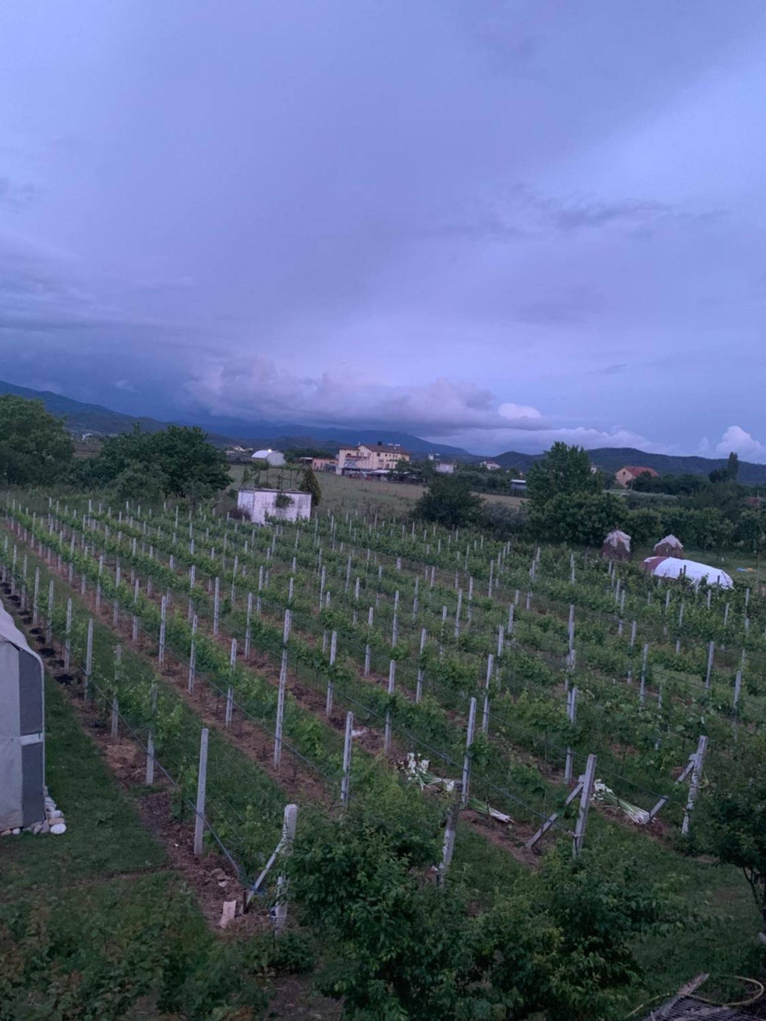 Hotel Villa Linda Shkodër 외부 사진