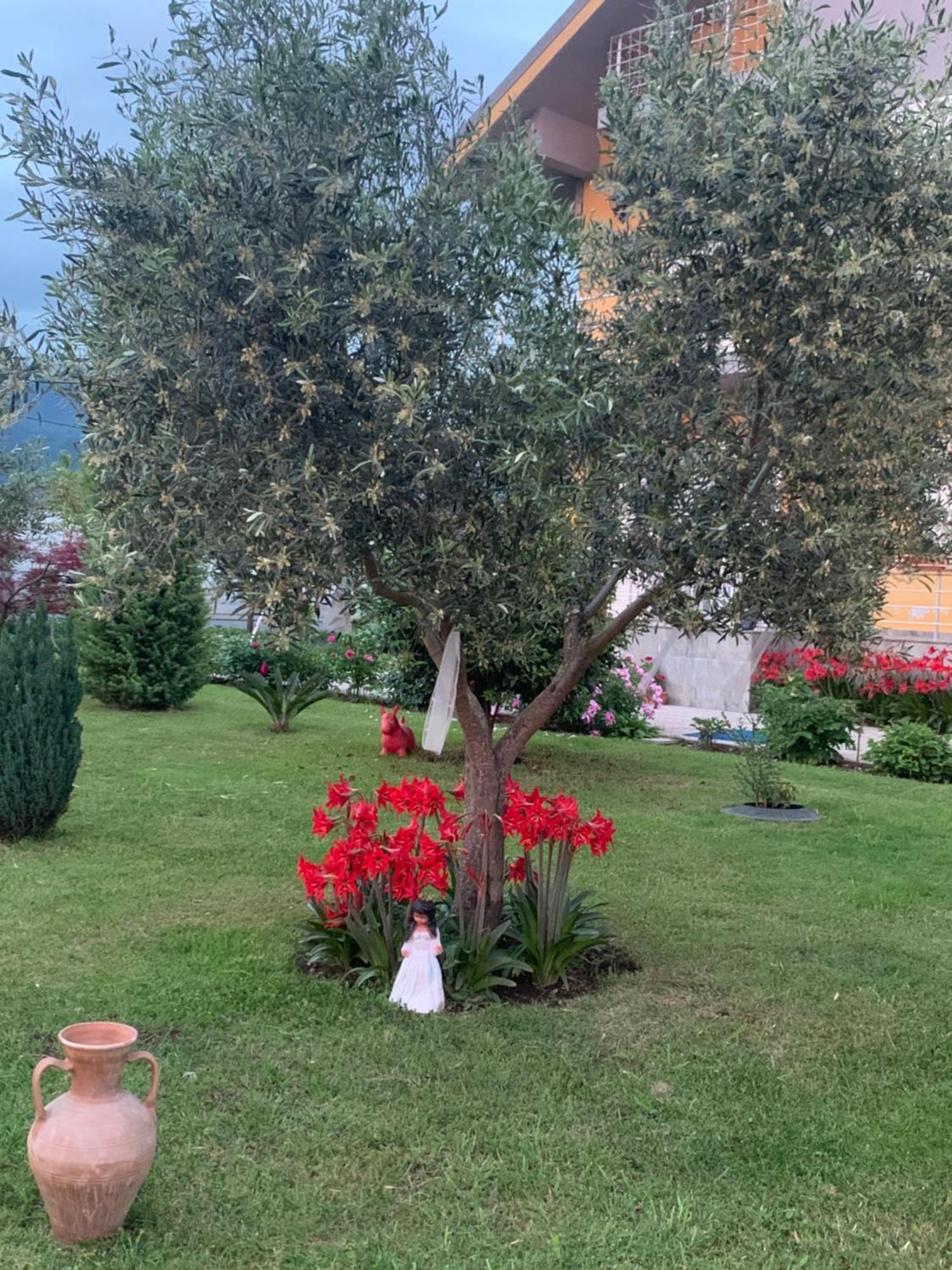 Hotel Villa Linda Shkodër 외부 사진