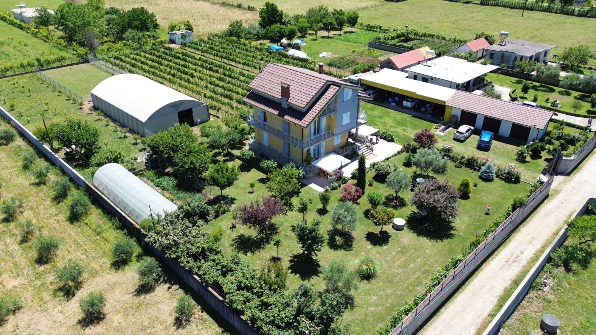 Hotel Villa Linda Shkodër 외부 사진